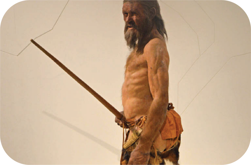 Ötzi: La momia humana natural más antigua de Europa se alimentaba con hongos