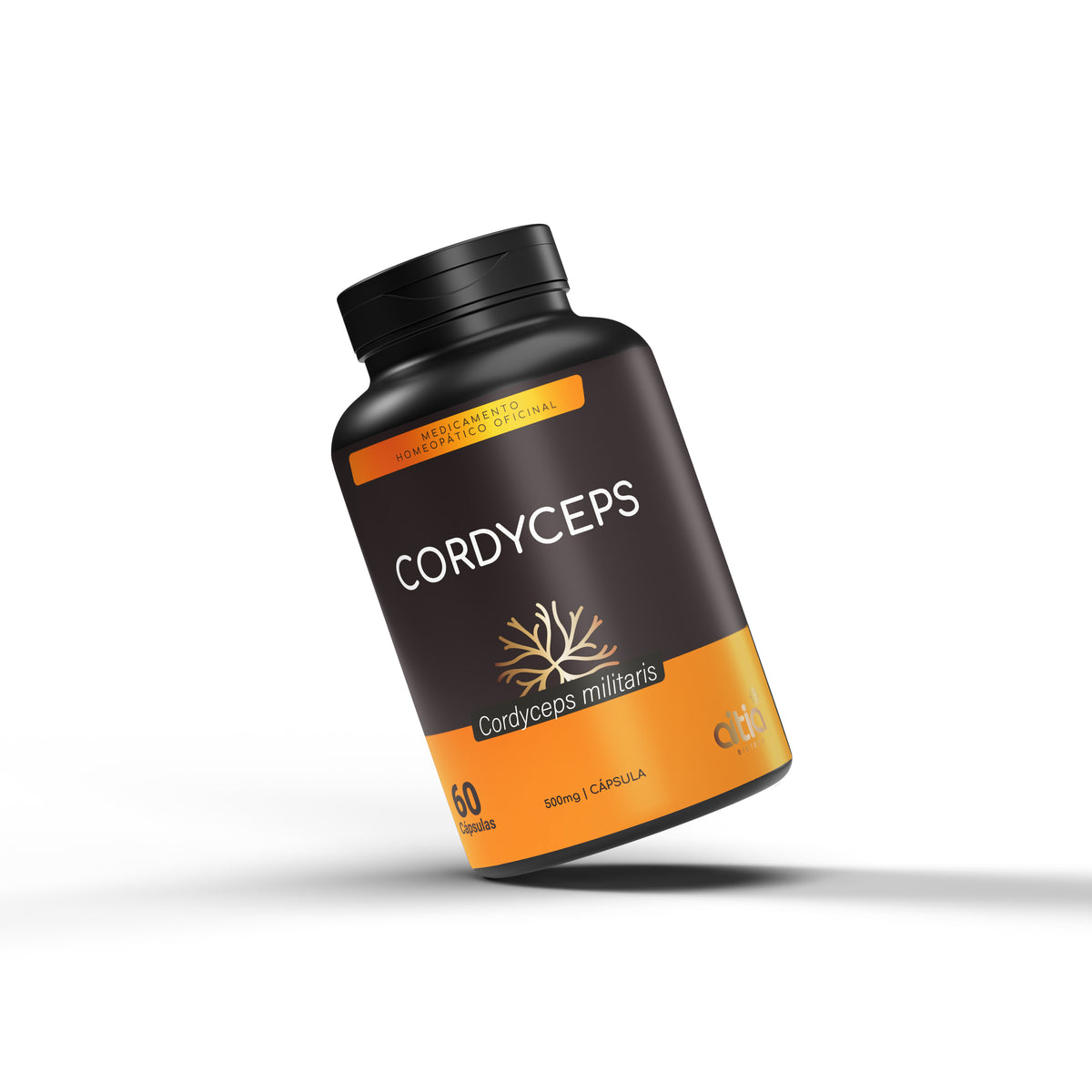 Hongos Cordyceps en Colombia